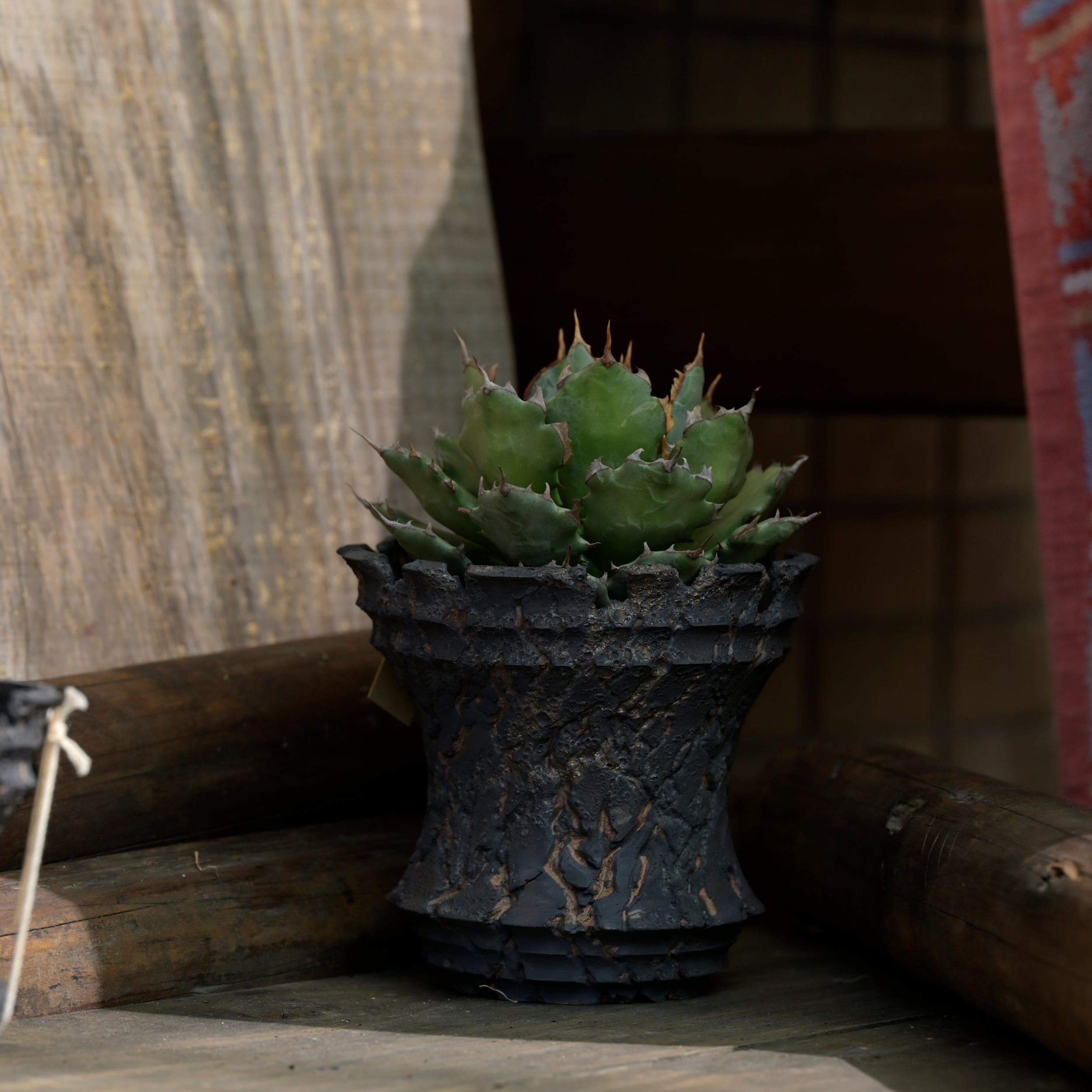 ☆ YT-YF（ytyf ceramics）鉢 DAMIJI M ☆ ytyf】Damiji shogun pot