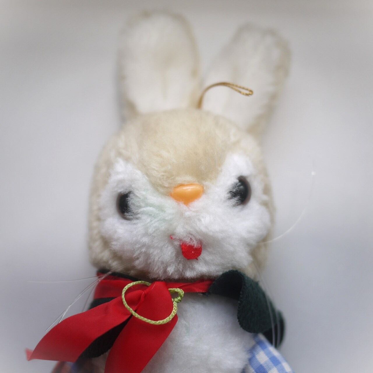 Blackマントをきたウサギ ドイツ