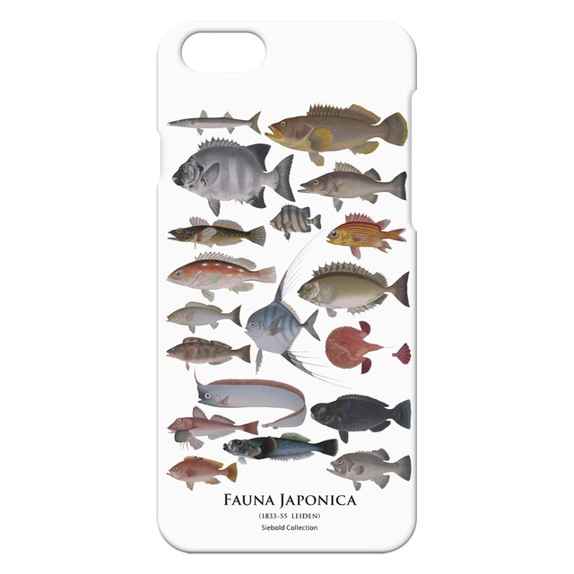 【iPhone SE（第2世代） iPhone 8 iPhone 7 魚群・海水魚その１ ホワイト】 スマホケース