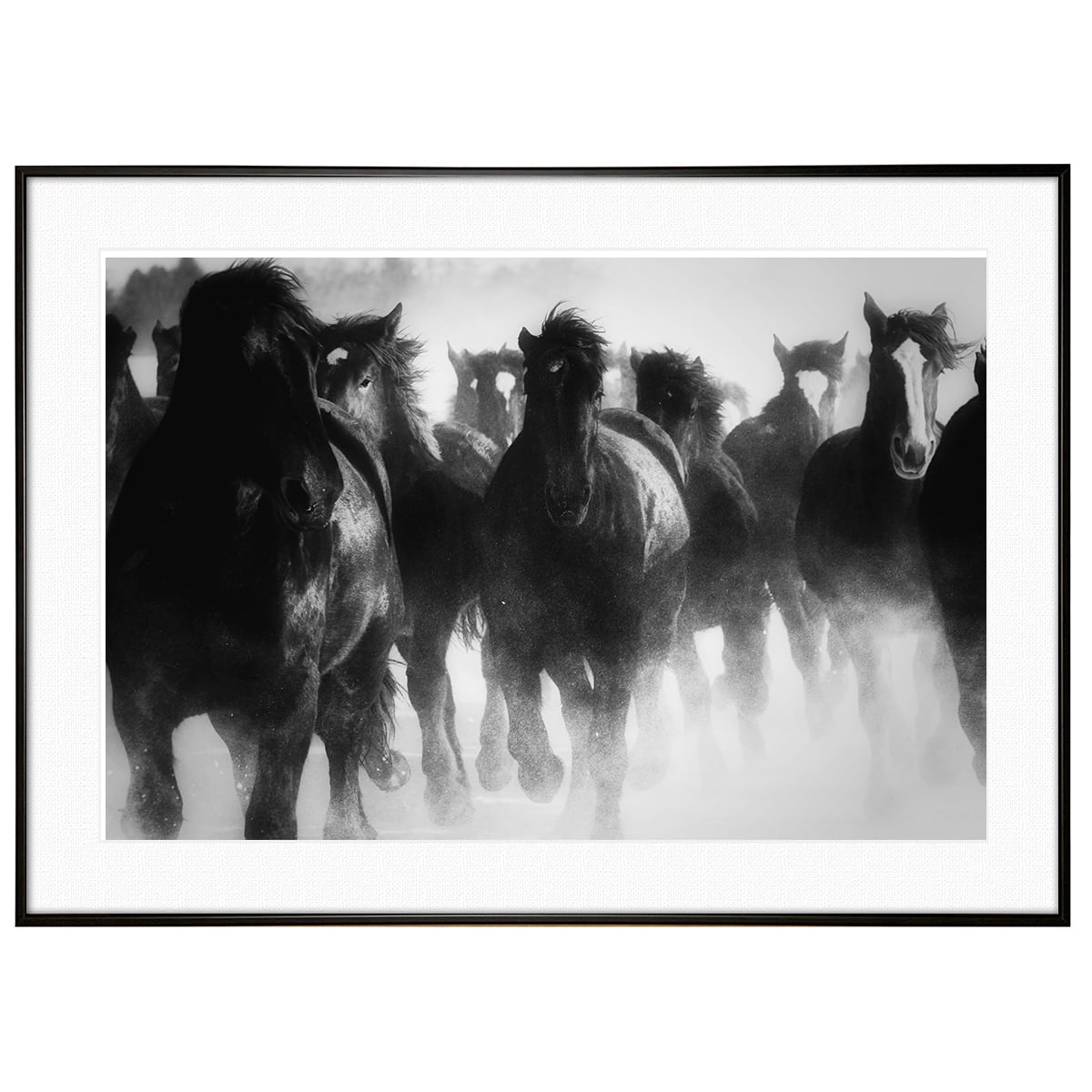 動物写真 雪原を走る馬 インテリア モノクロアートポスター額装 AS1823