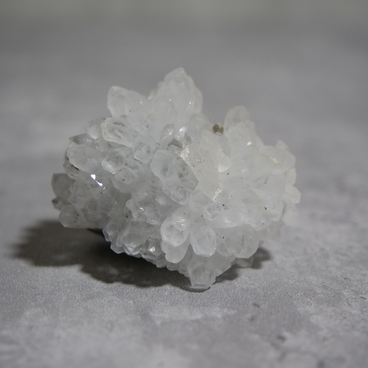 クリアクォーツ / パイライト / 原石 標本