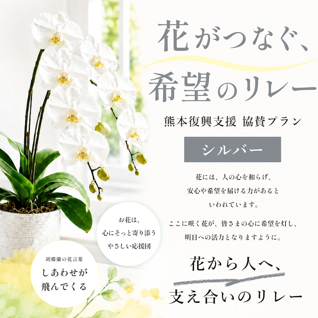 花がつなぐ希望のリレー｜フラワーリレープロジェクト〈シルバー〉｜生花・鉢｜生産者支援｜被災地復興支援｜フラワーロス削減