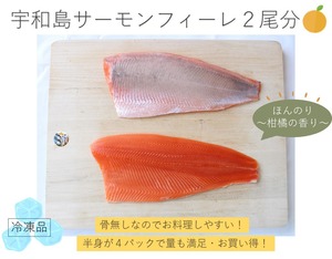 ほんのり柑橘の香り！「宇和島サーモン皮無フィーレ２尾分」お刺身に最適！・冷凍