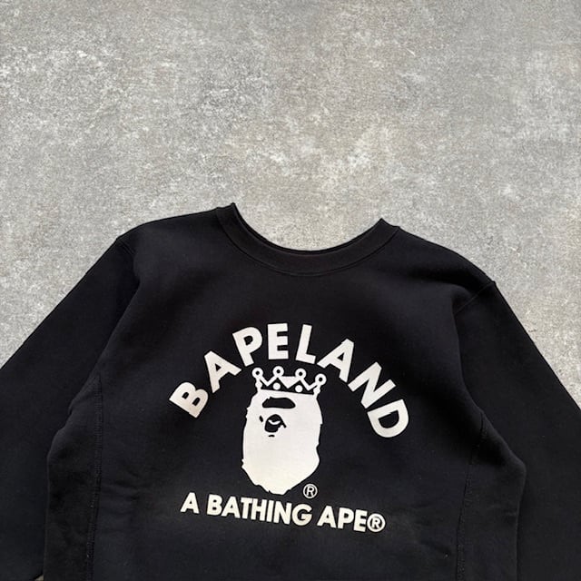 Champion】A Bathing APE チャンピオン アベイシングエイプ リバース