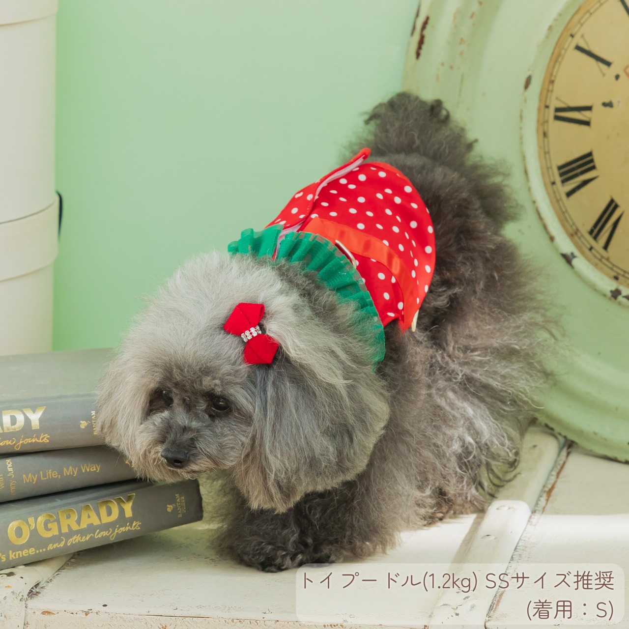 ＼ LLサイズ登場！／ 冷感いちごハーネス