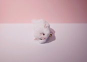 ヤギィ
