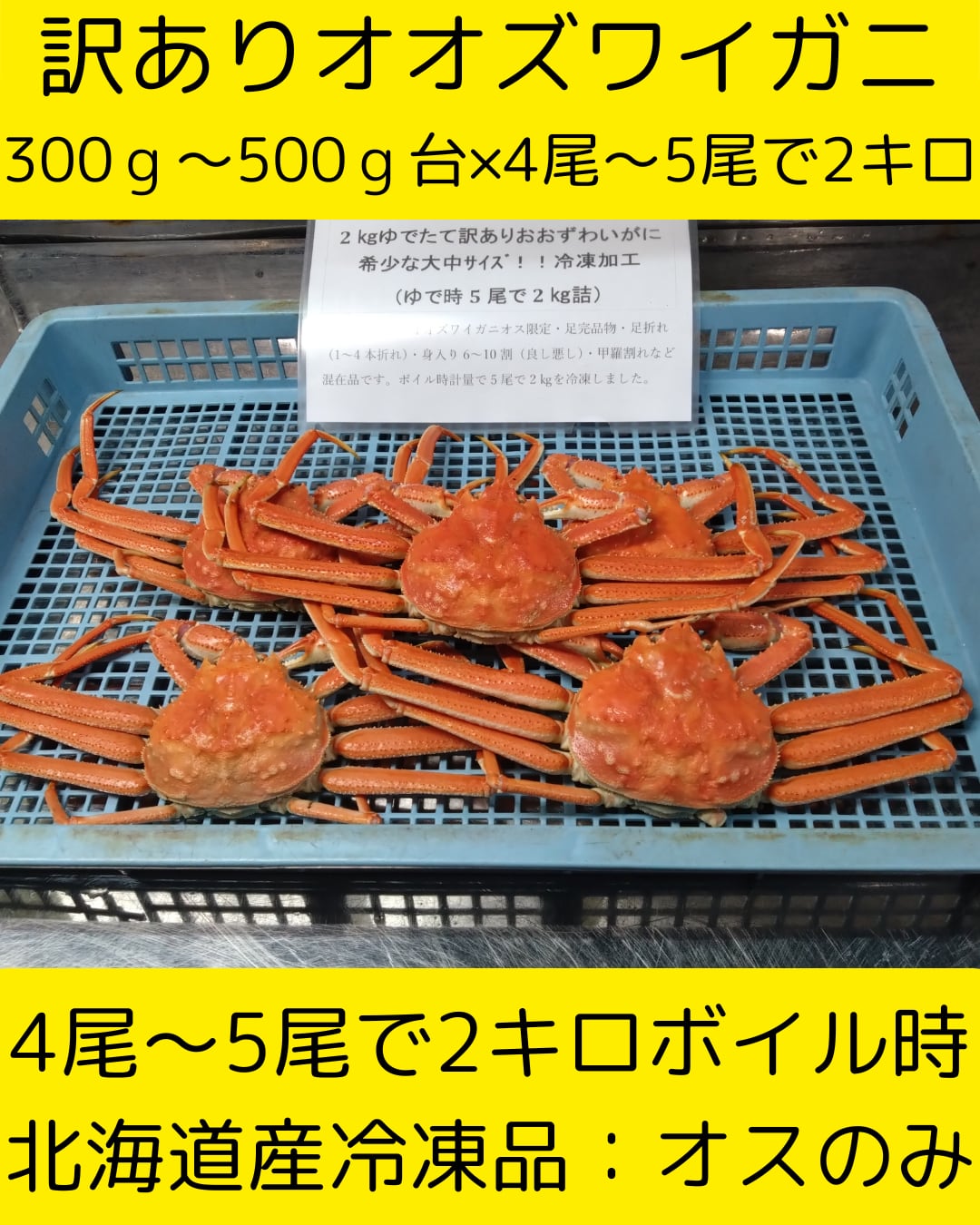 訳ありオオズワイガニ大4尾から5尾で2.0キロ 冷凍品 | 三吉丸かに直売店