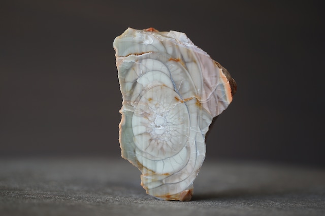 ロイヤルインペリアルジャスパー Royal Imperial Jasper 1964