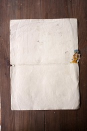 19世紀 France 36c  ファッションプレートi LES MODES PARISIENNES