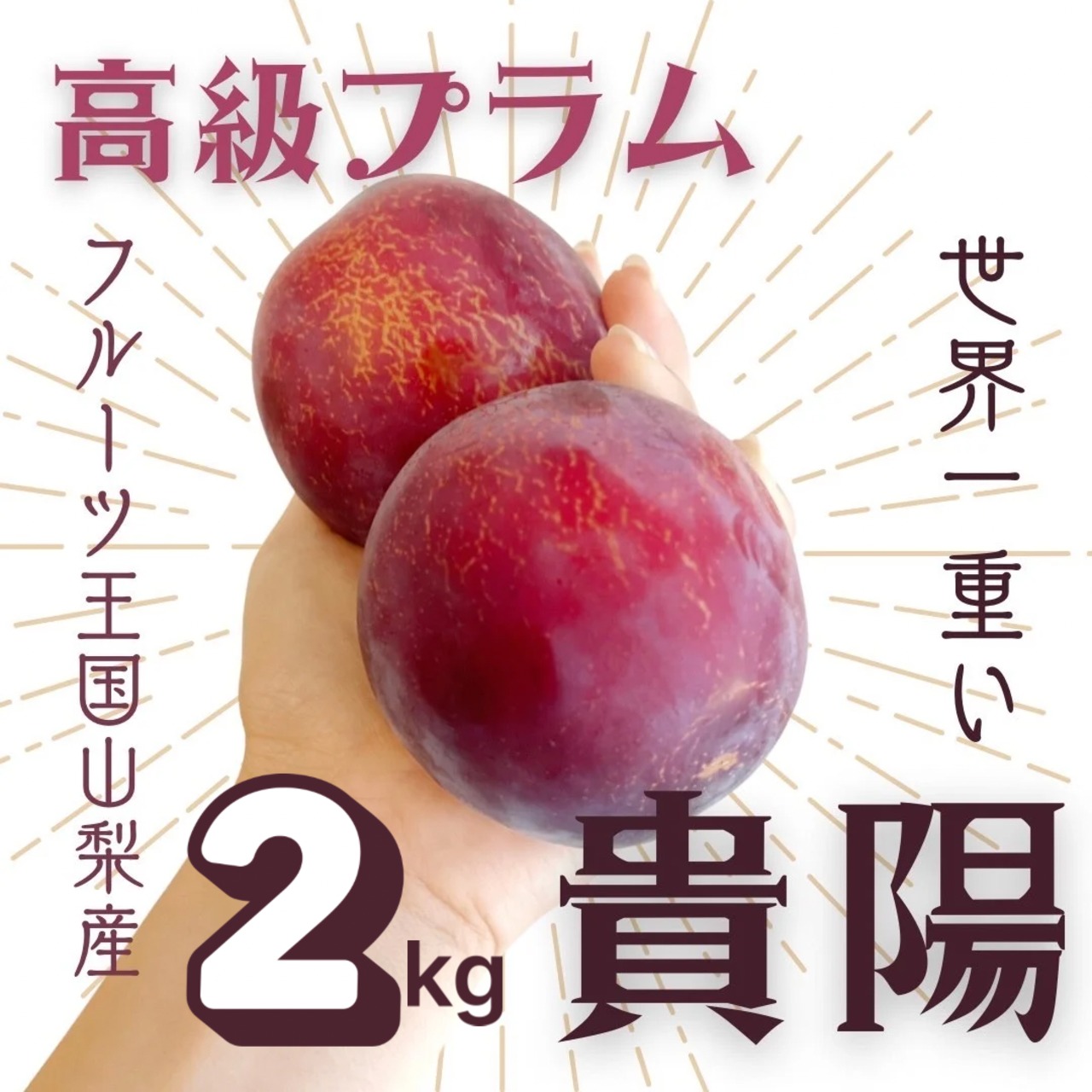 【待望の再入荷】「SDGｓ希少な高級プラム 貴陽」2kg（10個前後） ジューシーで激甘に感動！抜群の美味しさのプラムを朝採り直送！ 送料無料！