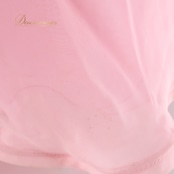 社交ダンス 衣装 白樺ドレス スタンダードドレス ワンピース ドレス スタンダード ピンク レース フロート デモ 競技 ダンス パーティ 発表会 綺麗 かわいい レディース 華やか ピンク系 フリル スカート 袖 おしゃれ イベント 高級感 かわいらしい