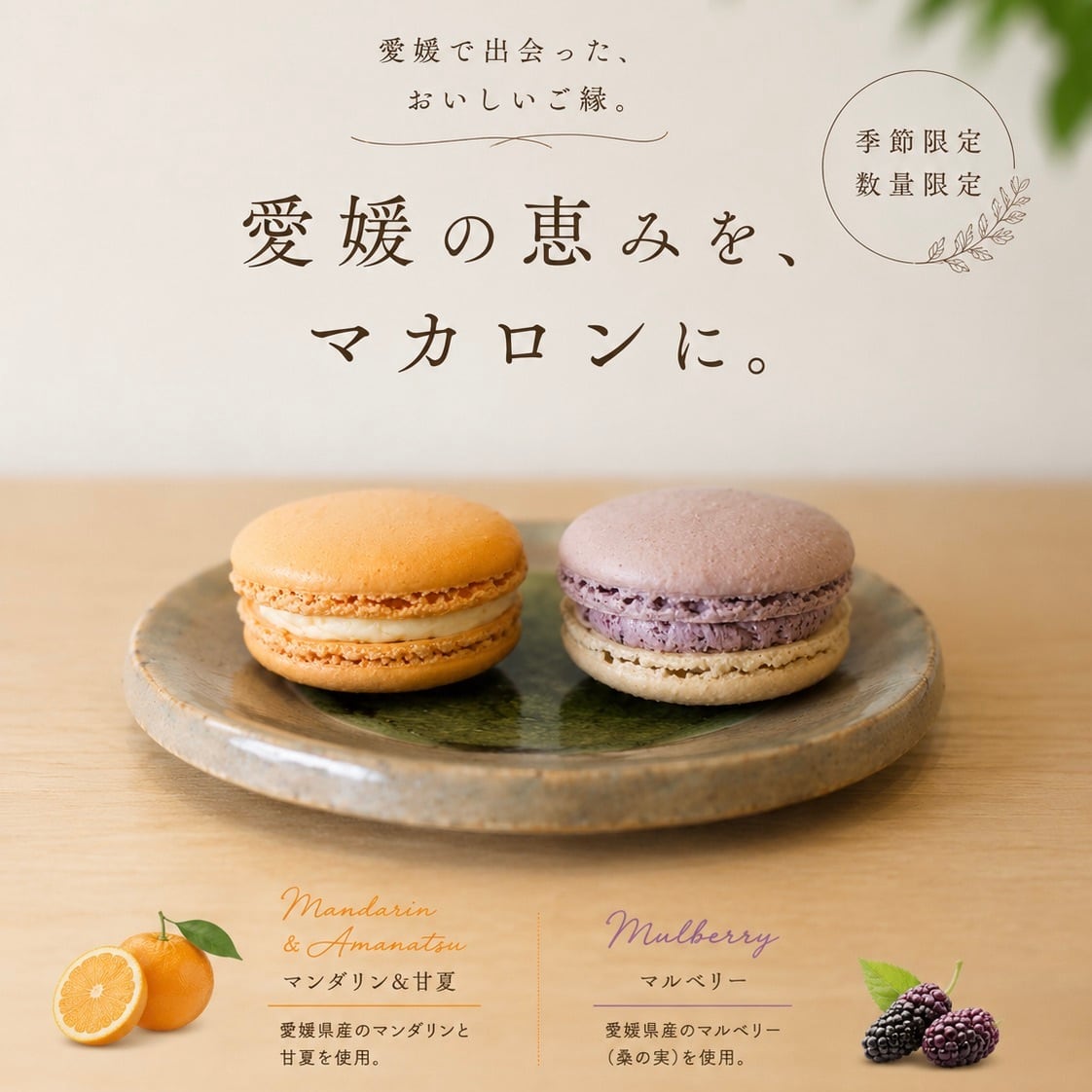 季節のマカロン・ネージュ【5個入り】ピロー型パッケージ | 自然派