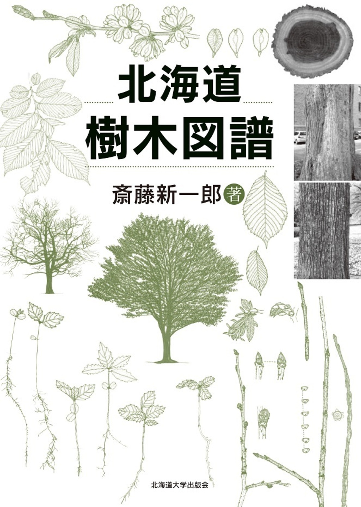 北海道樹木図譜 | 北海道大学出版会