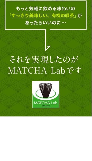 オーガニック緑茶 煎茶 ティーバッグ 30袋セット 農薬不使用 化学肥料不使用