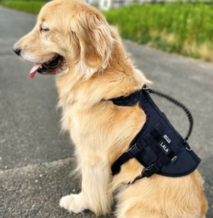 大型犬用 コーデュラ ミリタリーハーネス Lサイズ