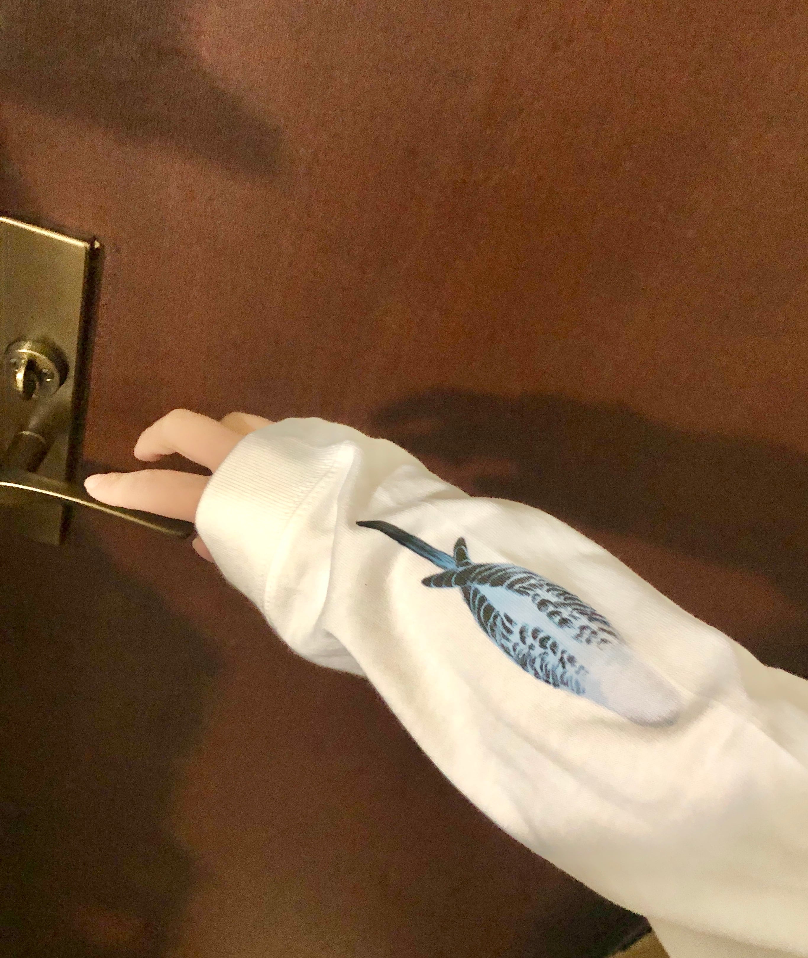 袖にインコが潜んでいる Tシャツ(限定デザインver) | petbox1976
