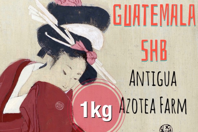 グァテマラ　アンティグア｜もっとお得な1kg コーヒー豆【シティロースト】