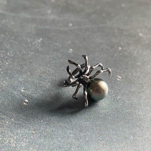 Spider Ear Cuff - South Sea Pearl GY  /  蜘蛛のイヤーカフ- 南洋真珠 グレー