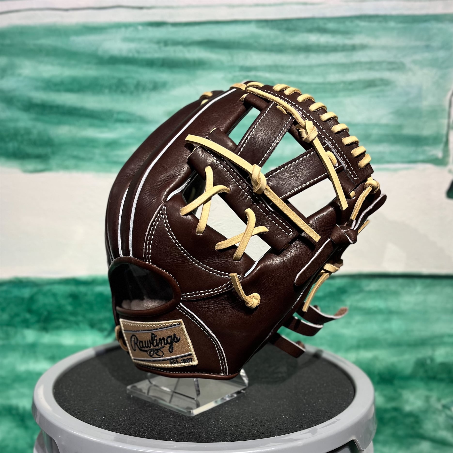 Rawlings ローリングス 硬式グラブ 内野手用 HOH PREMIUM GH6HPCK45