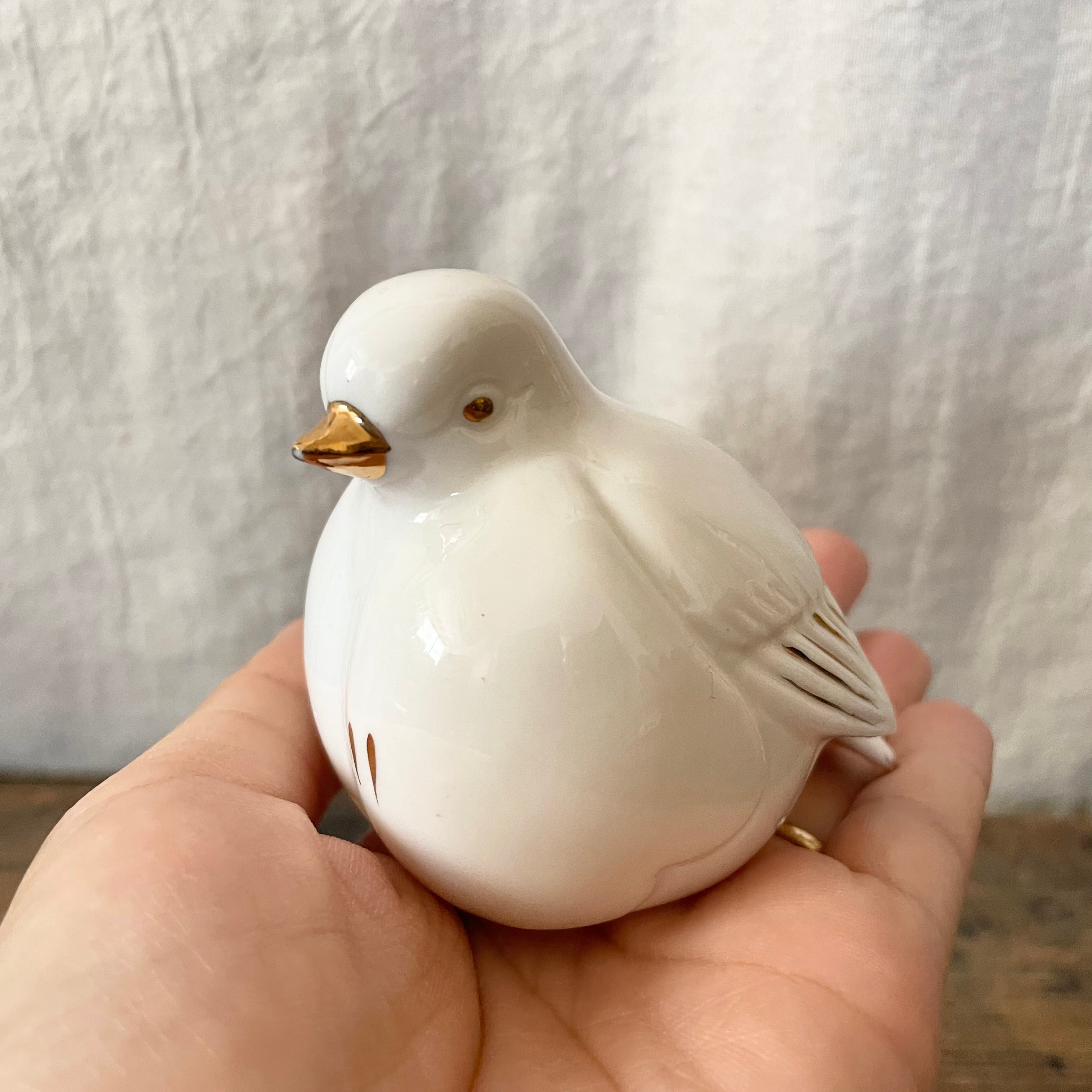 白い太っちょな鳥