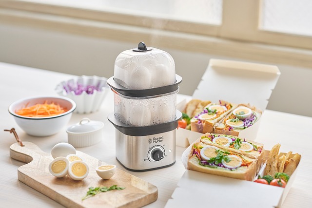 Russell Hobbs / クイックミニスチーマー