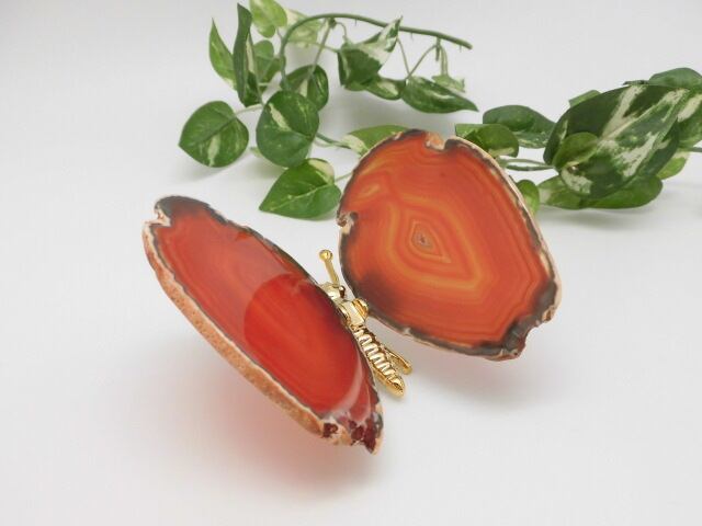 【瑪瑙】　ゴージャス蝶々　no.2