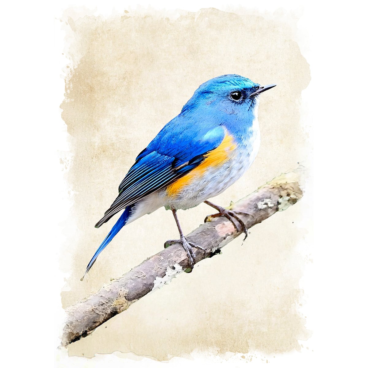 5e87b7acfc2131f3f7aa674890a878