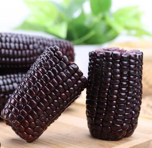 双葉 黑玉米【10個セット】 花玉米 黒玉米(黏玉米)とうもろこし 糯玉米 真空パックコーン 中華食材 中国産 電子レンジOK トウモロコシ ワキシーコーン 玉米 苞米 粘苞米 黏玉米 玉米