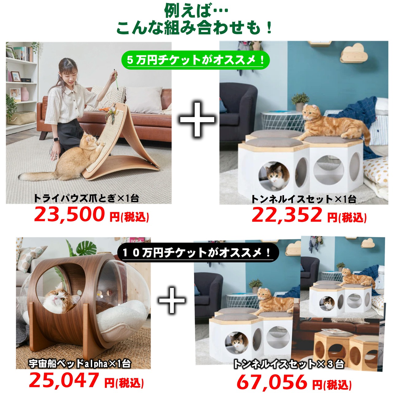 【３万円分 チケット福袋】MYZOOショップで使えるチケット福袋！MYZOOコラボ,合計36,000円以上相当の猫グッズ！人気おやつ,ウェットフード付き！組み合わせは無限大！