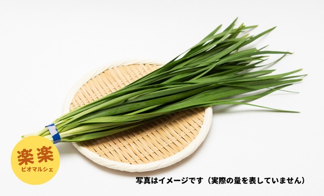 ニラ