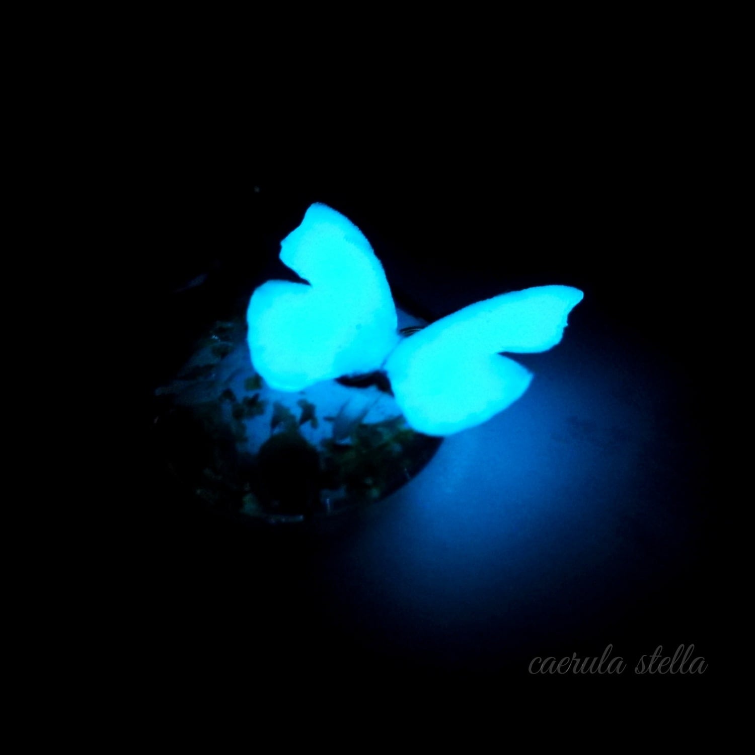 暗闇で光る 【 夜光蝶 と 花 の アシンメトリー イエロー ピアス