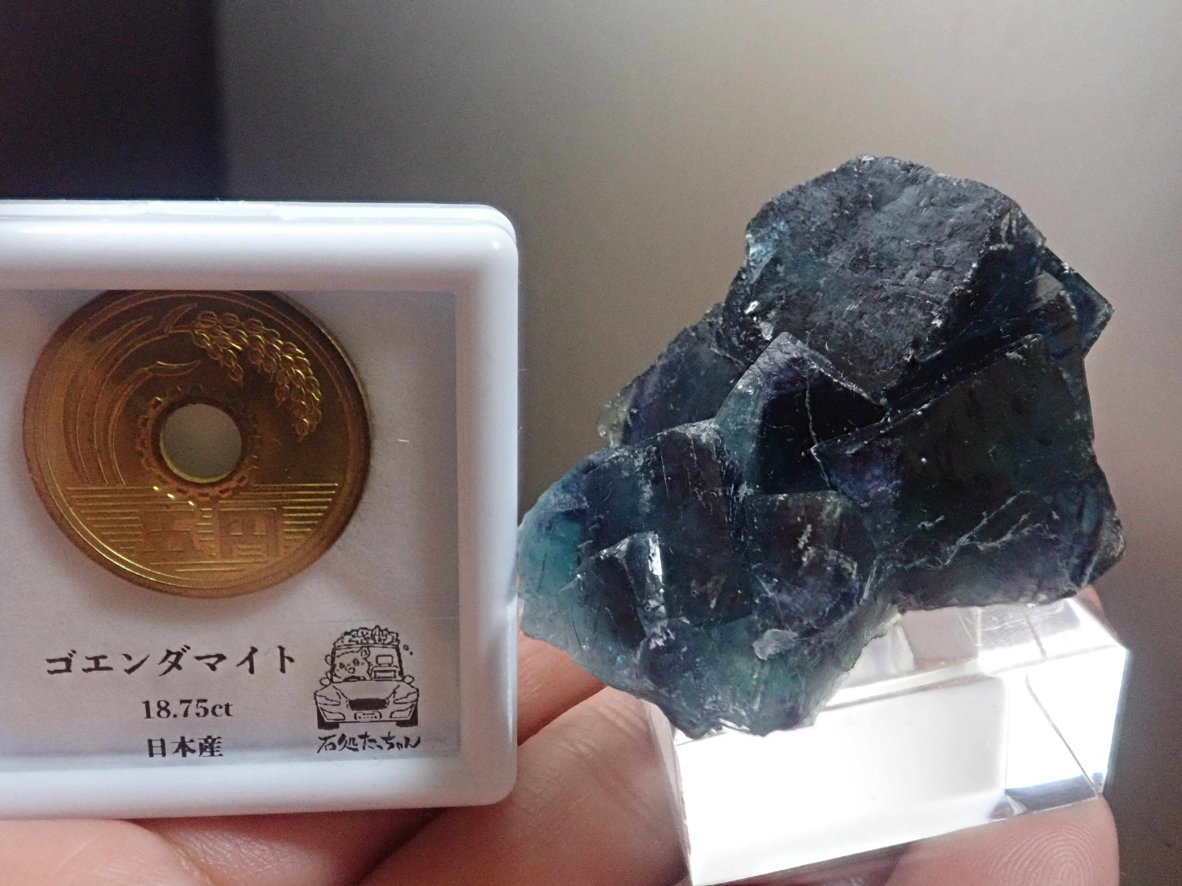 バタフライポケット】フローライト オコルス鉱山 蛍石 原石 標本 | 石