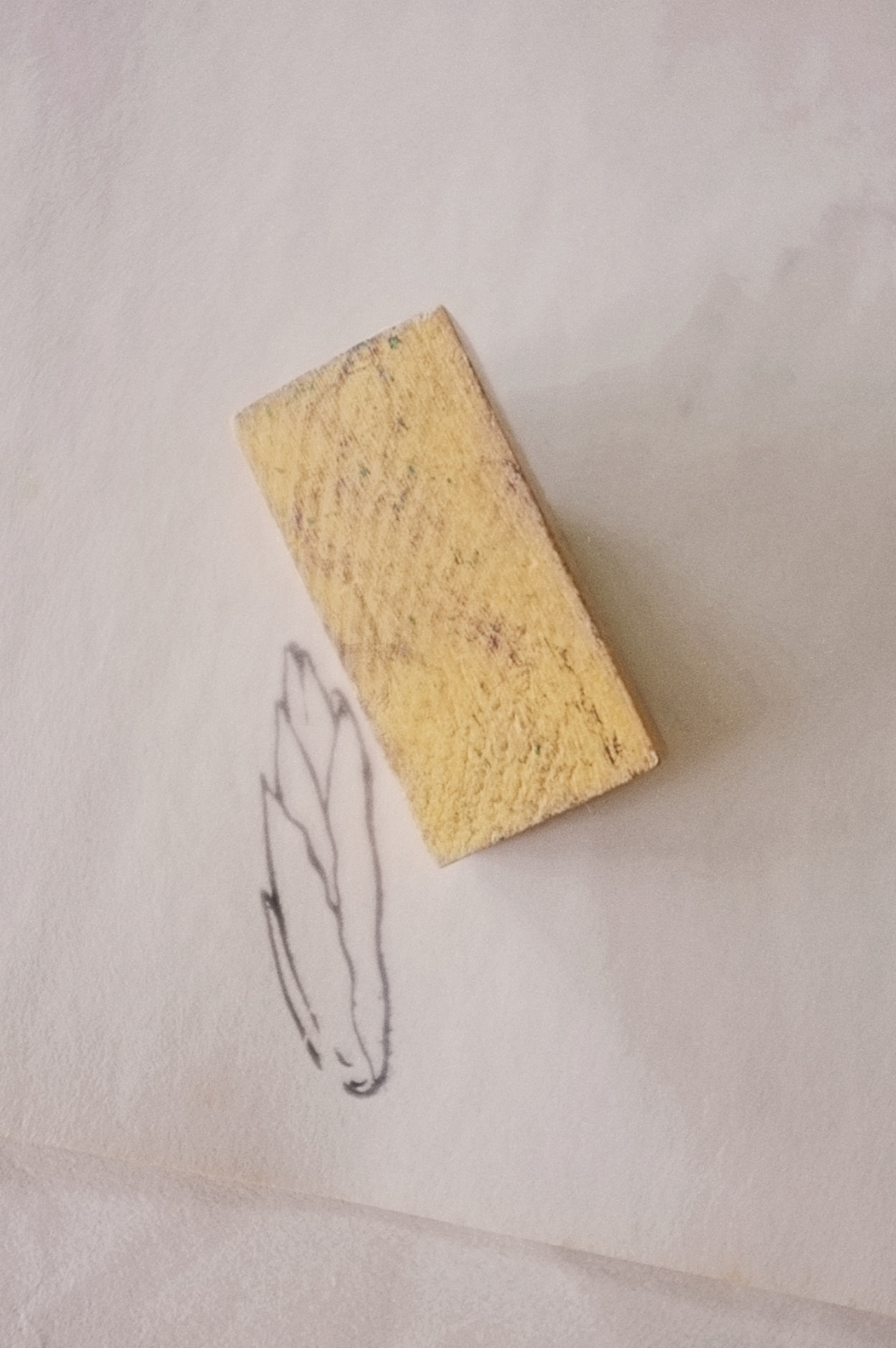 フランス 5c 日陰のチコリさんとメランコリーな木製スタンプ ヴィンテージ
