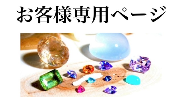 お客様専用「ソーティング」依頼専用ページ【No.127】