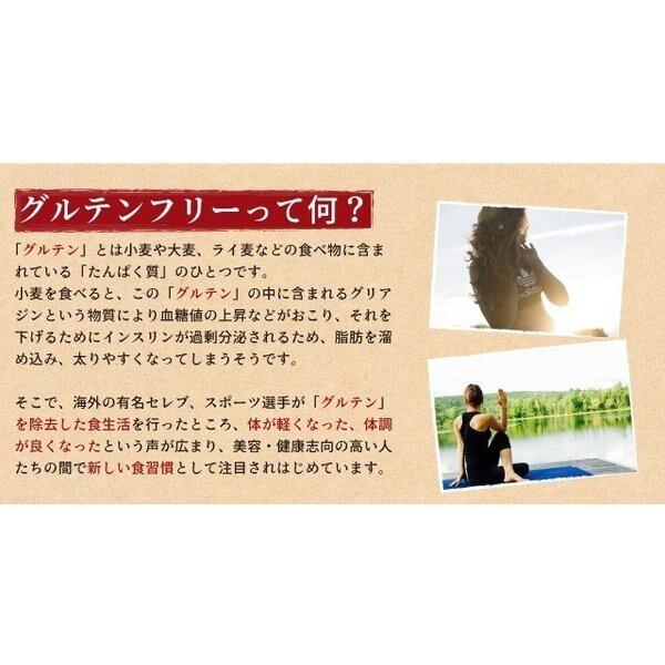 送料無料 グルテンフリー そうめん ちょっと太いくせに素麺 1g 6食分 100 お米の生麺 小麦粉不使用 九州産米粉使用 常温保存 6人前 麺の匠 グルテンフリー麺の川北製麺 オンラインショップ