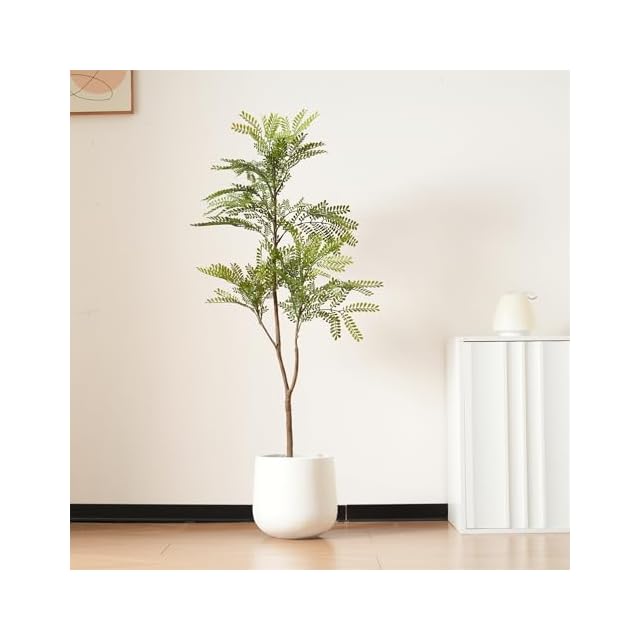 現品］ザミア フロリダーナ 7号 蘇轍 観葉植物 室内 レア 細葉