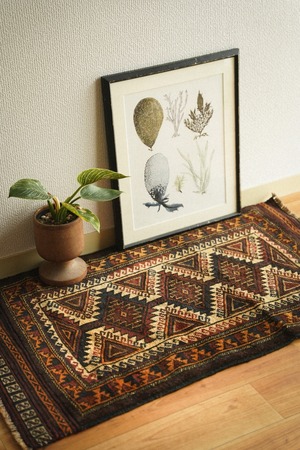 1556-Vintage Baluch rug