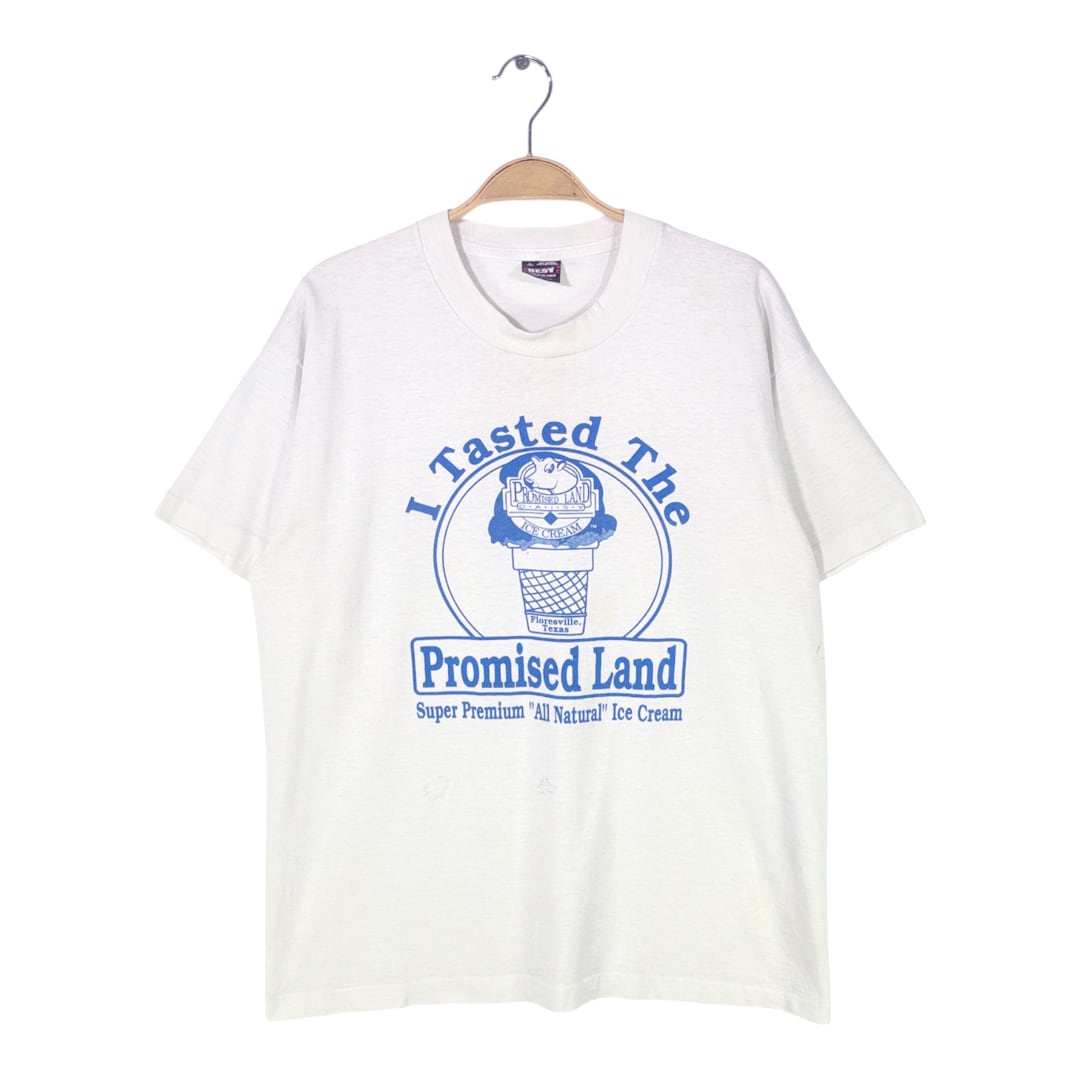 80s プロミスランドダイアリー USA製 ヴィンテージTシャツ アイスクリーム 企業系 PROMISE LAND DAIRY シングルステッチ フルーツオブザルーム サイズL 古着 @BZ0482