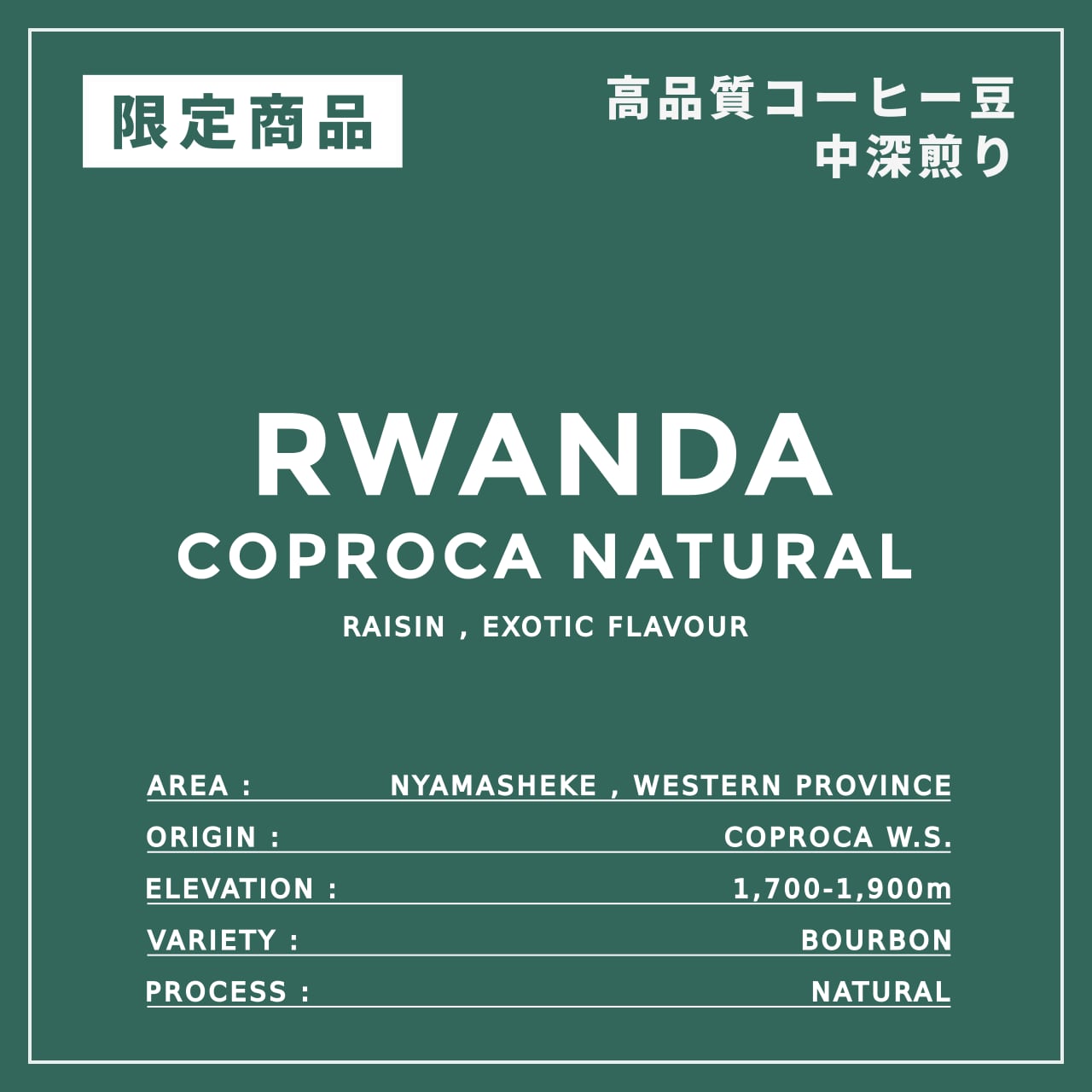 限定 RWANDA|COPROCA NATURAL|中深煎り |コーヒー豆