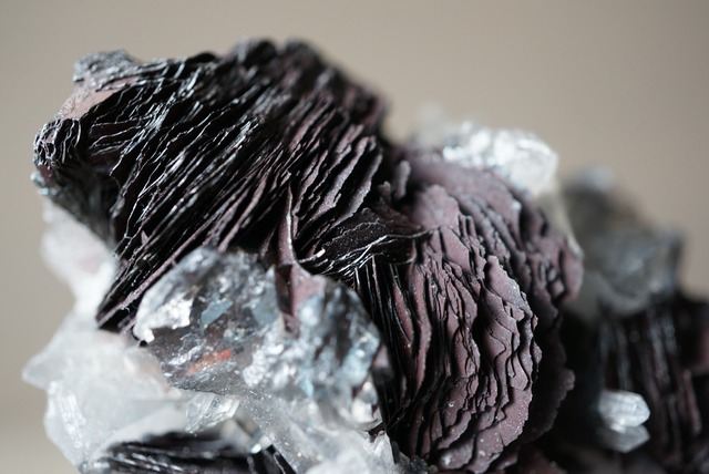 アイアンローズ/クォーツ Iron Rose/Quartz 1555