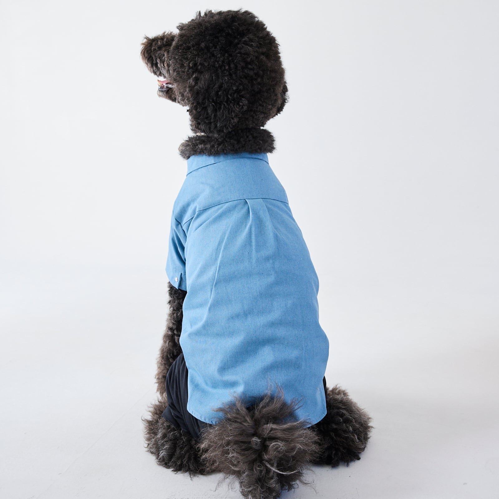 252501大型犬サイズ］デニムシャツ | 犬服ブランド 2e deuxieme cale
