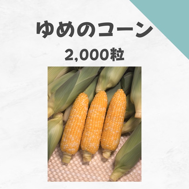 ゆめのコーン　トウモロコシ種子・2,000粒