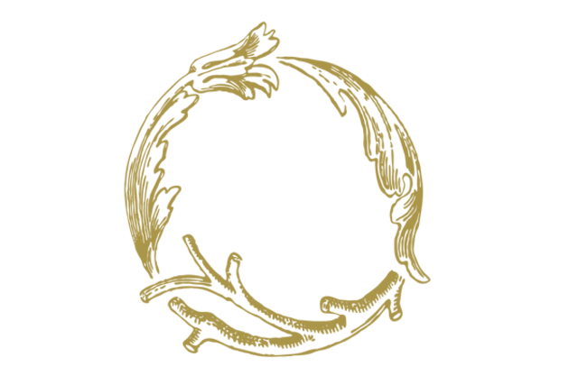 BHYプーアル陳皮(６０ｇ)