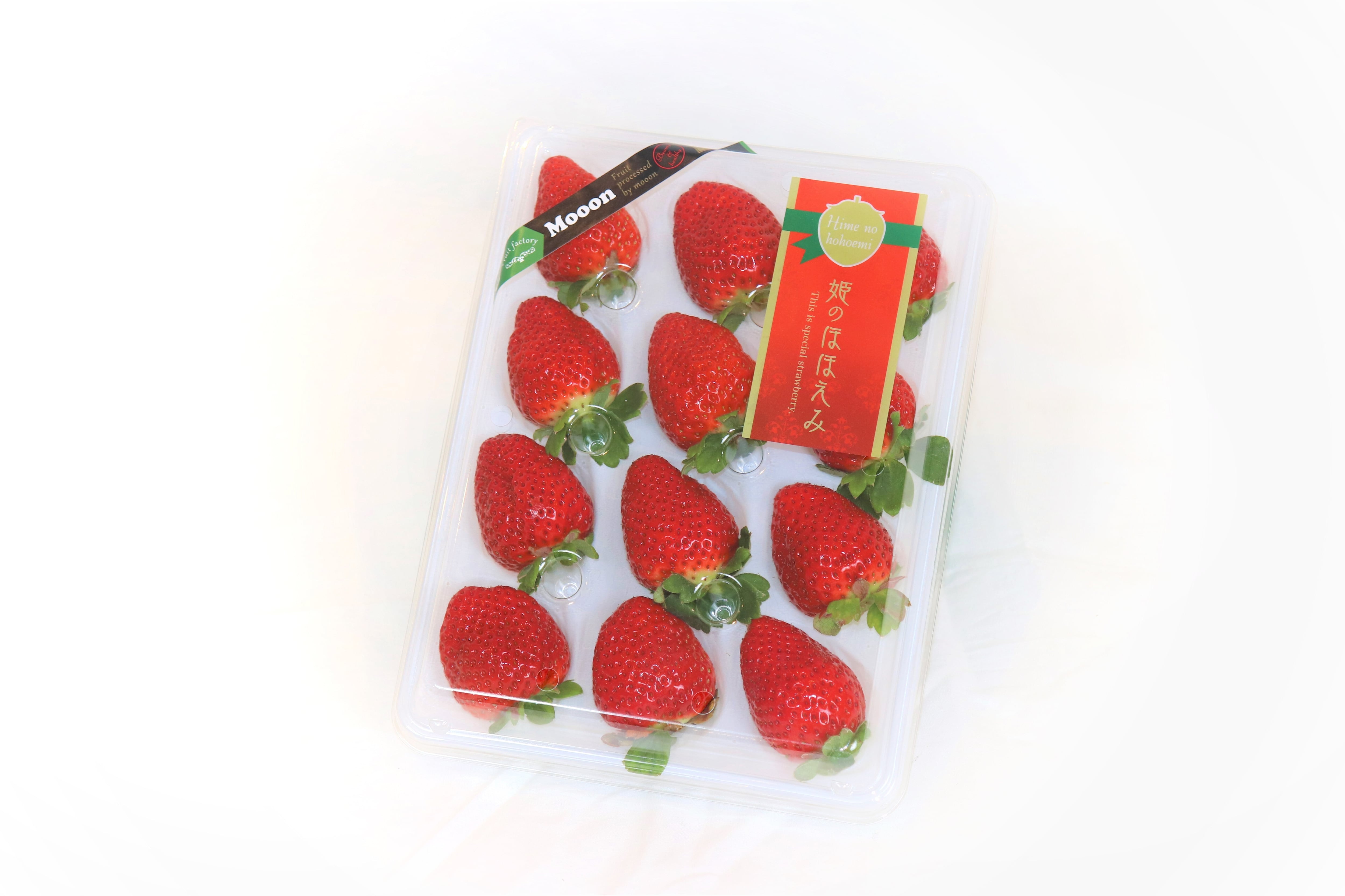 Fruit factory Mooon ONLINE SHOP