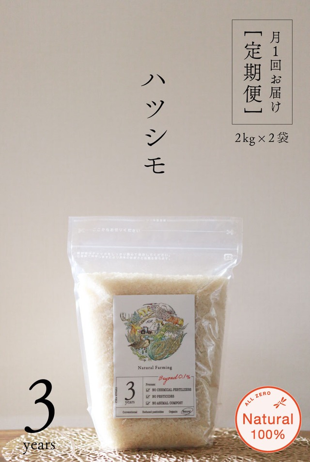 ＜定期配送＞ハツシモ白米2kg×2袋 [All ZERO（5年継続圃場）]※配送エリア：本州・四国・九州