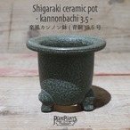 【送料別】楽風カンノン鉢(青銅) 3.5号〔信楽焼〕