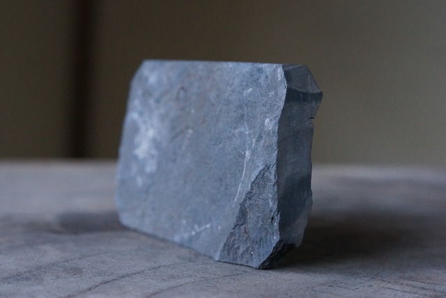 シダ化石　Pecopteris sp.