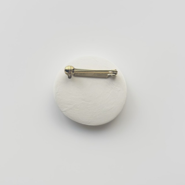 #25020 ブローチ/雰囲気の化石 Brooch/Atmospheric Fossil