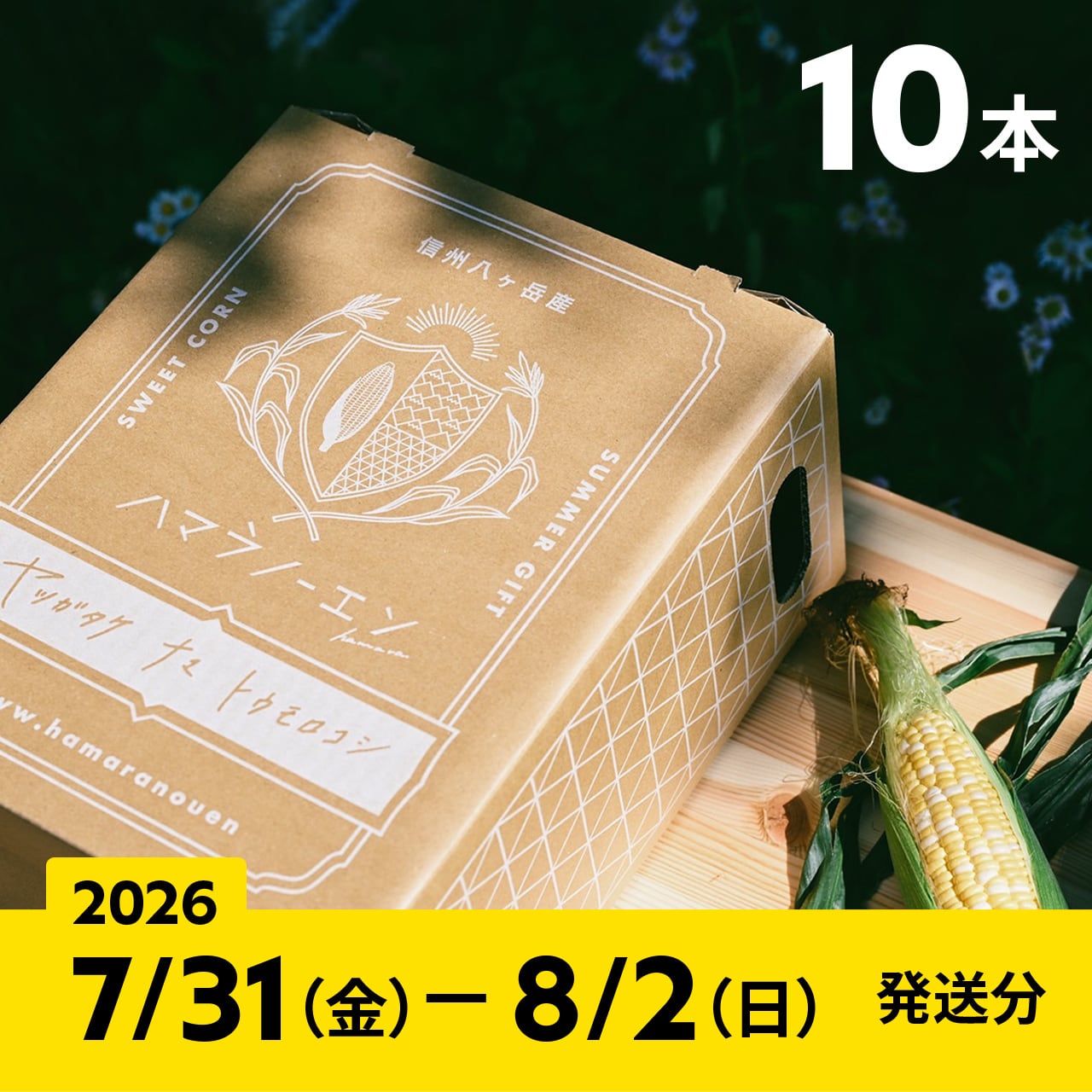2026【通常予約／10本】八ヶ岳生とうもろこし／ギフトボックス入り／8