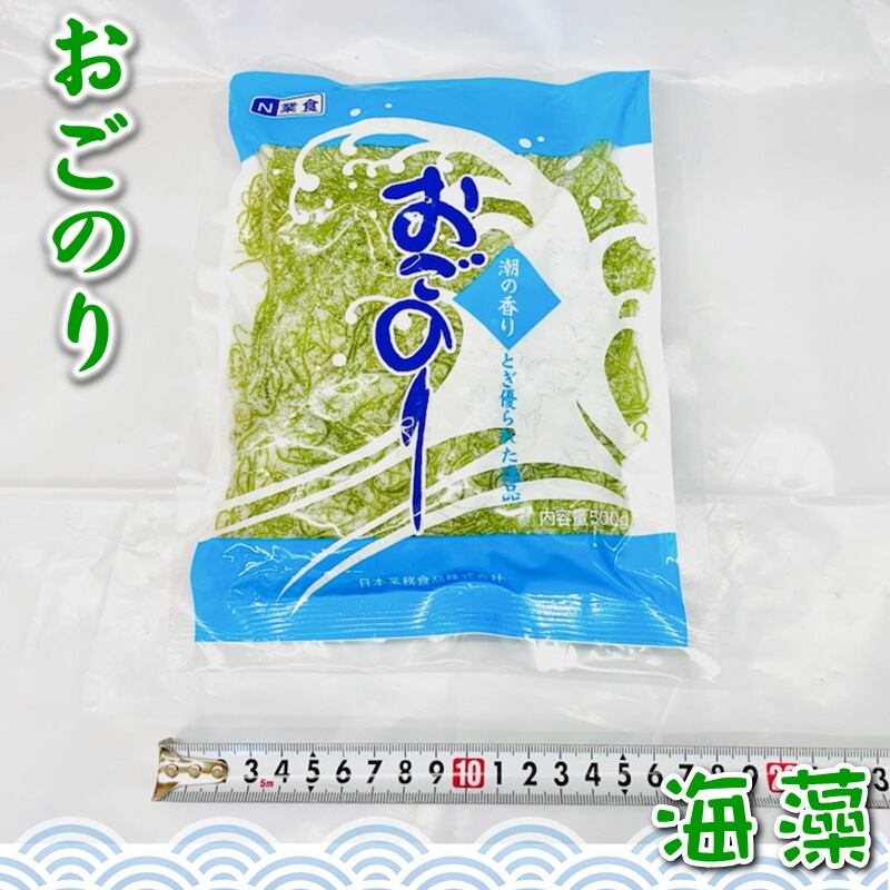 ざきふのり　シート　22枚　おまけ付　表具　糊　海藻 ざきふのり シート 22枚 おまけ付 表具 糊 海藻 オンラインショップ